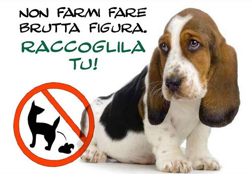 ORDINANZA DEL SINDACO N. 21 DEL 29.07.2019 - RACCOLTA DEIEZIONI CANINE E LAVAGGIO SUOLO PUBBLICO