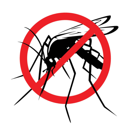 Regole d'oro per la lotta alle zanzare